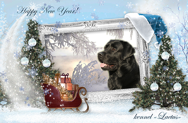 С Новым Годом!