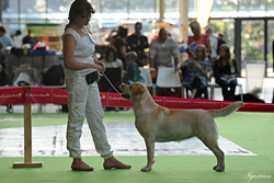 CHAMPIONNAT DE FRANCE 2011 Paris