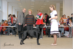 Е’Джей Рашн Блэк Даймонд